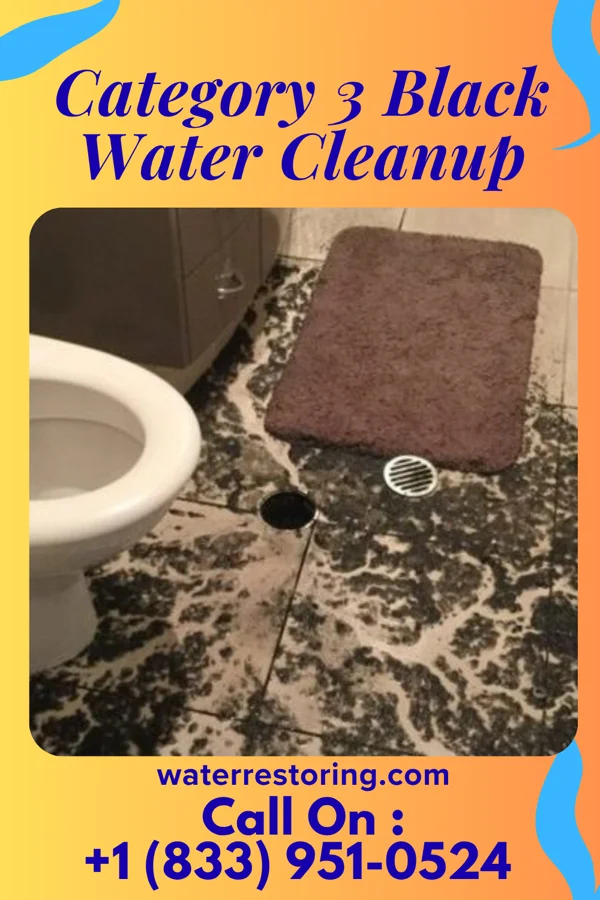 Category 3 Black Water Cleanup in Cañada de los Alamos, NM