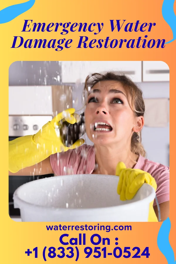 Emergency Water Damage Restoration in Cañada de los Alamos, NM