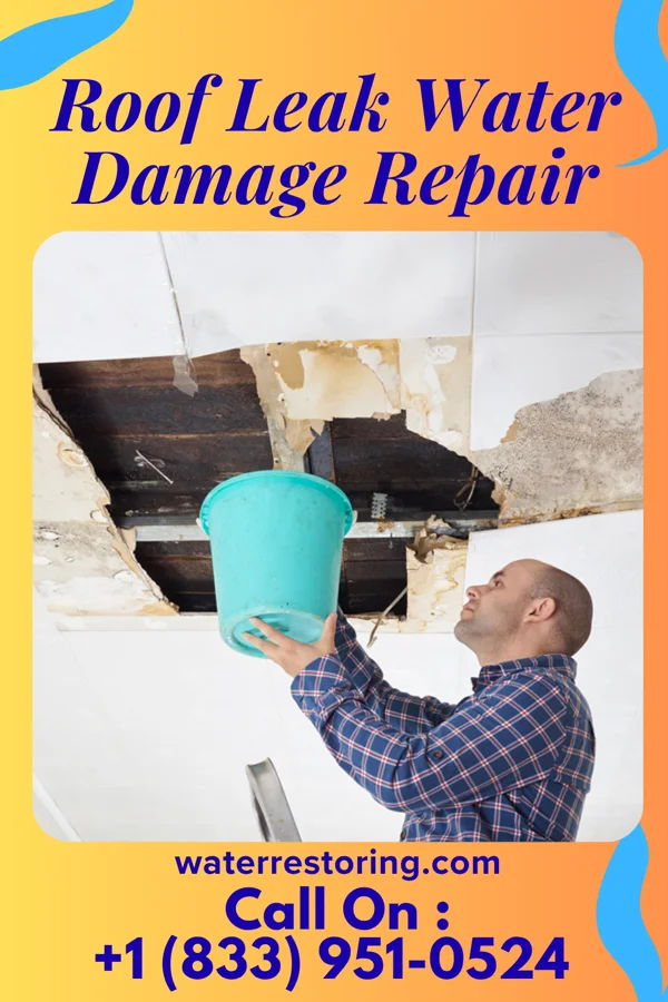 Roof Leak Water Damage Repair in Cañada de los Alamos, NM