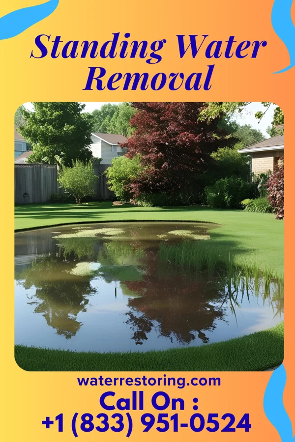 Standing Water Removal in Cañada de los Alamos, NM